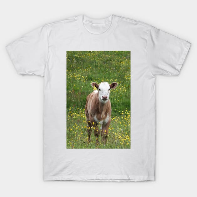 Calf in a Field T-Shirt by pinkal